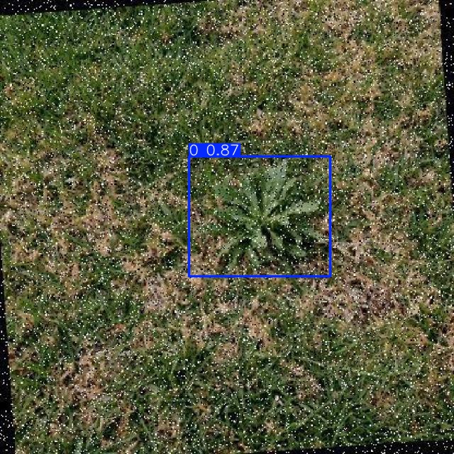 Annotated Image