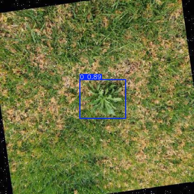 Annotated Image