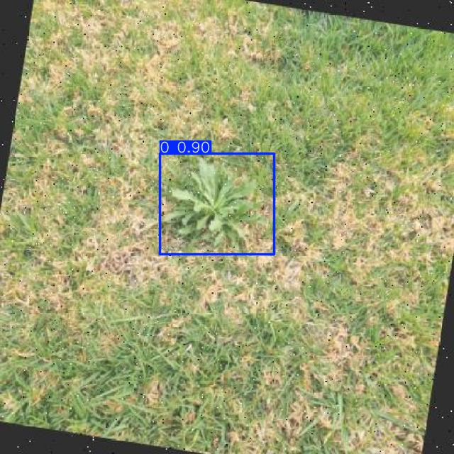 Annotated Image
