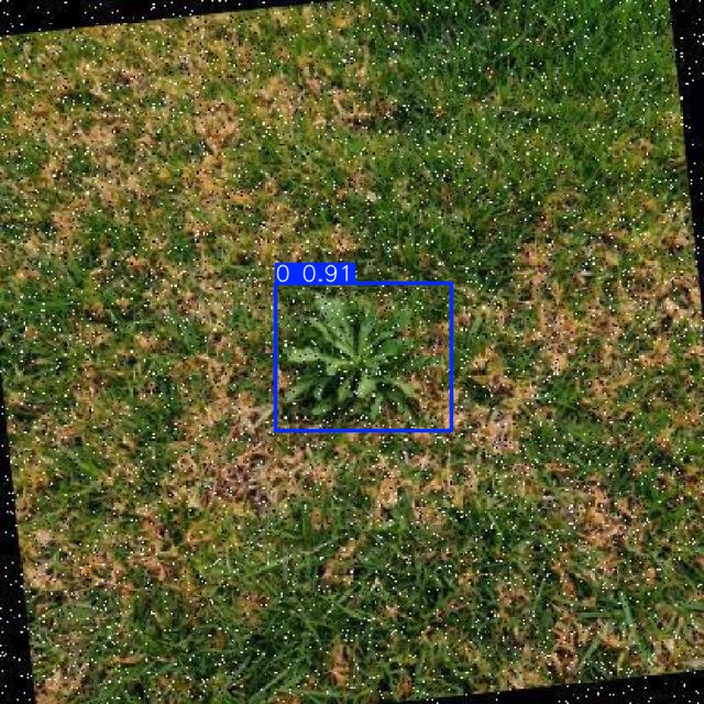 Annotated Image