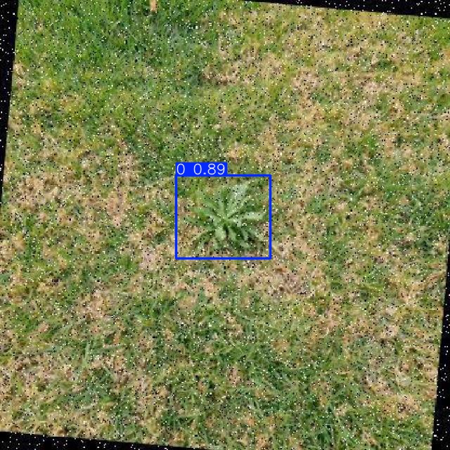 Annotated Image