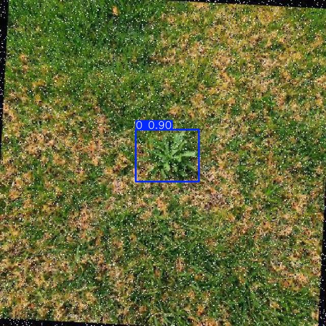 Annotated Image