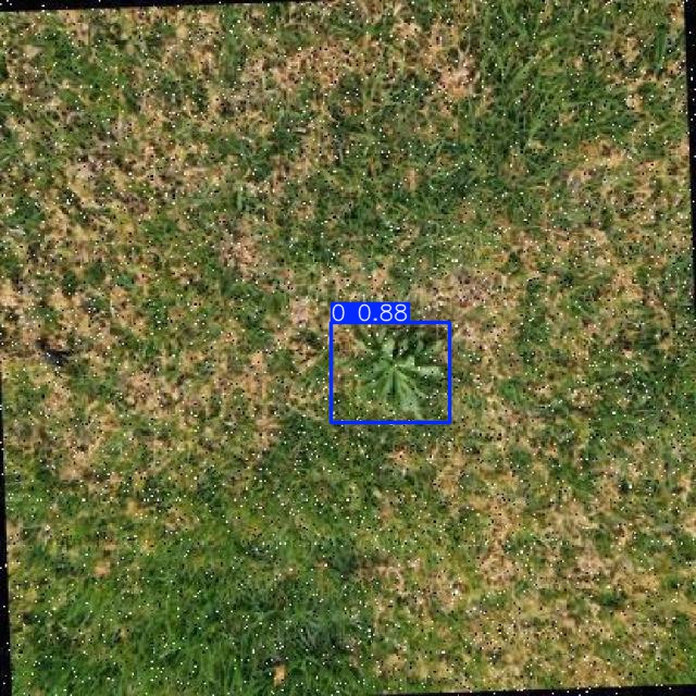 Annotated Image
