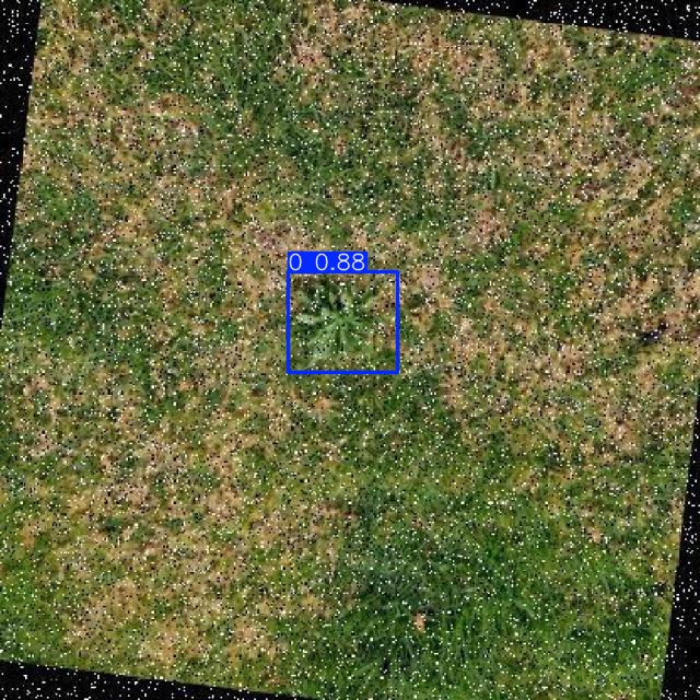 Annotated Image