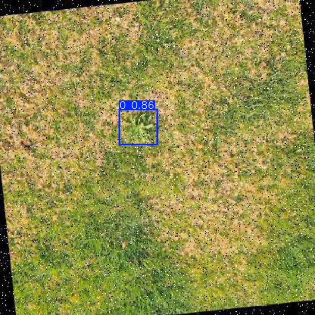 Annotated Image