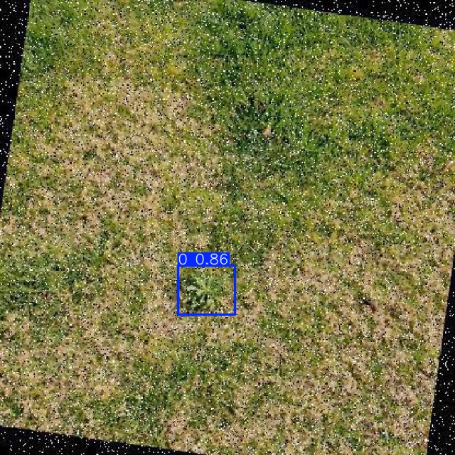 Annotated Image