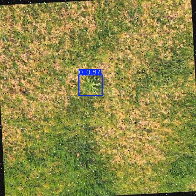 Annotated Image