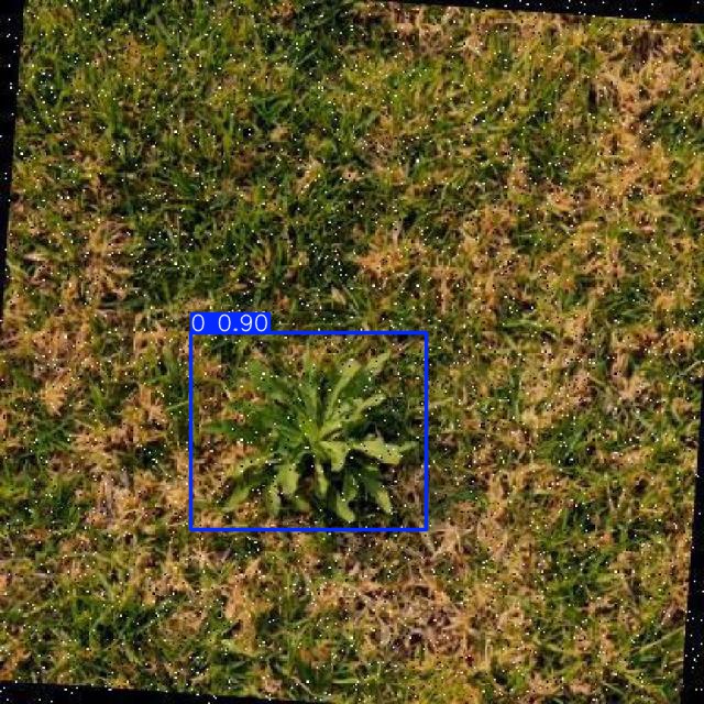 Annotated Image