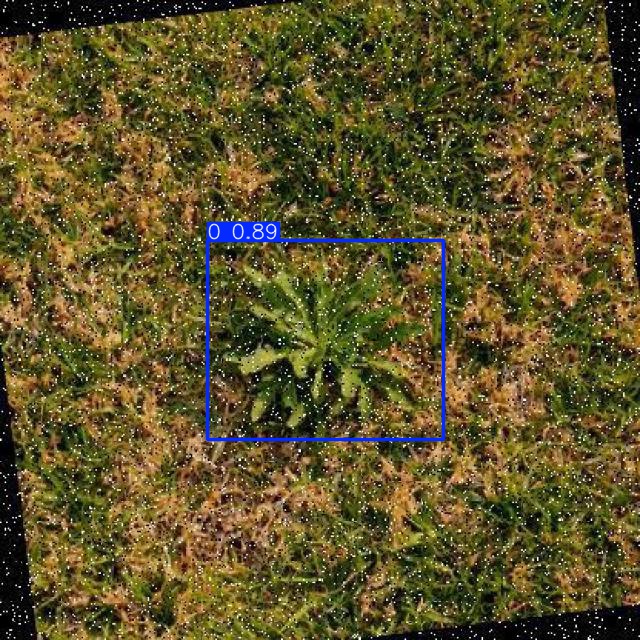 Annotated Image