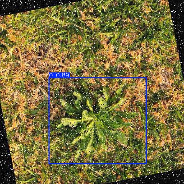 Annotated Image