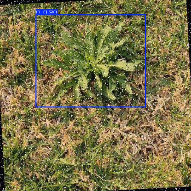 Annotated Image