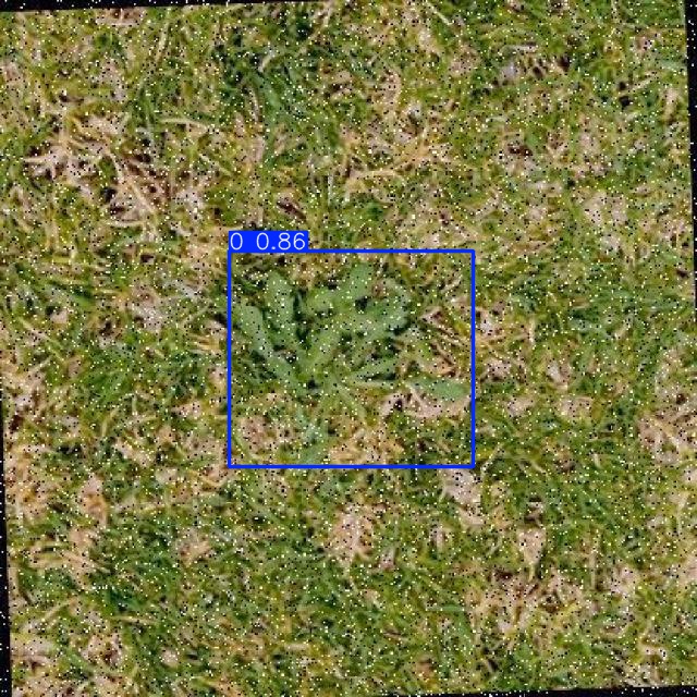 Annotated Image