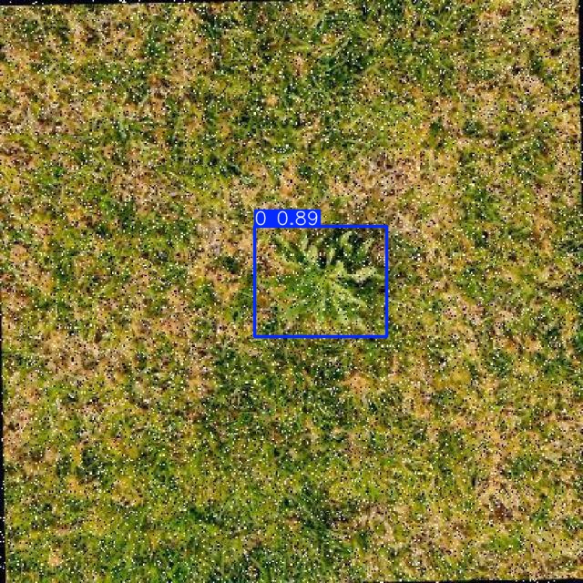 Annotated Image