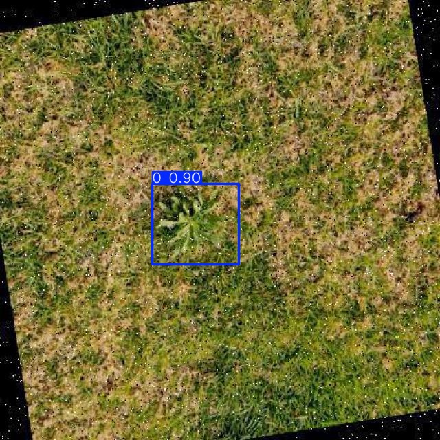 Annotated Image