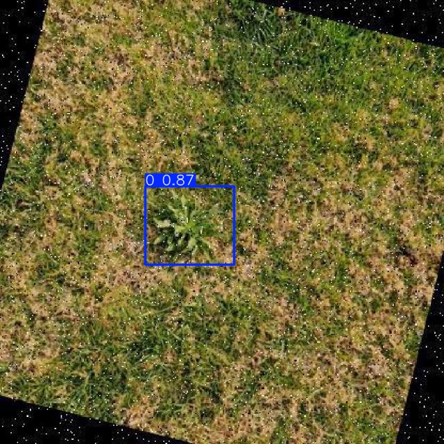 Annotated Image