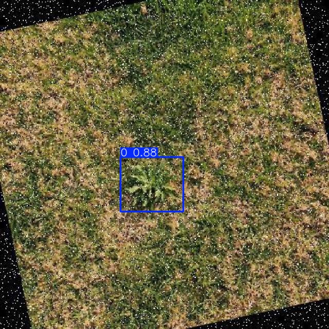 Annotated Image