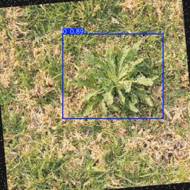 Annotated Image