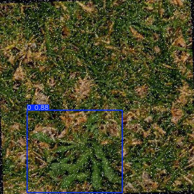 Annotated Image