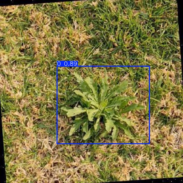 Annotated Image