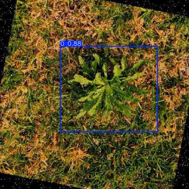 Annotated Image