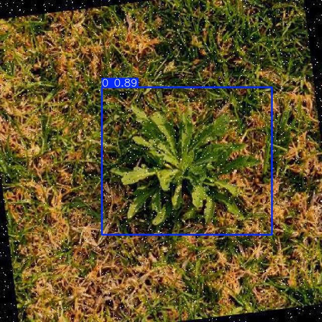 Annotated Image