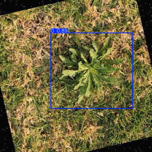 Annotated Image