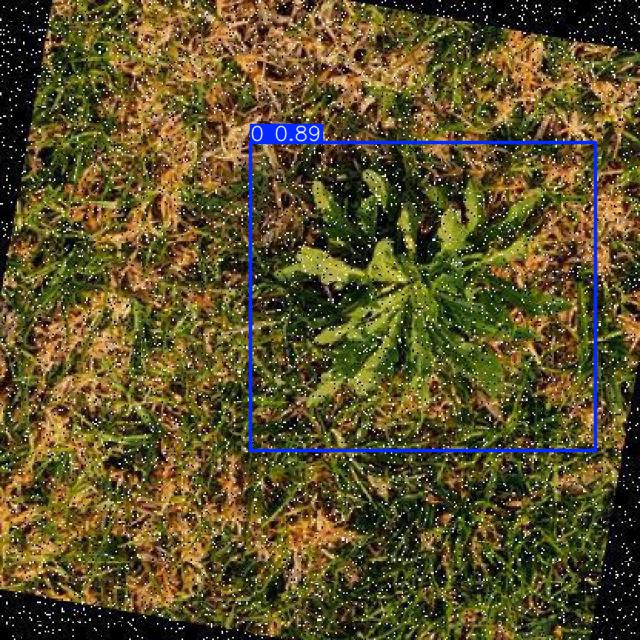 Annotated Image