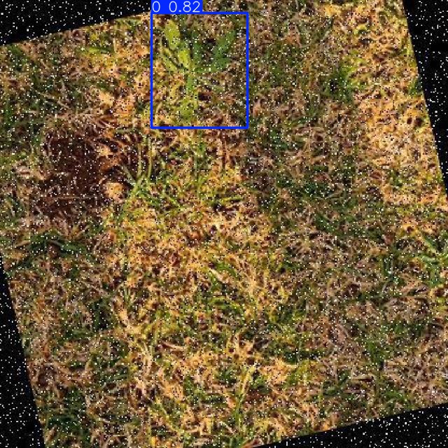 Annotated Image