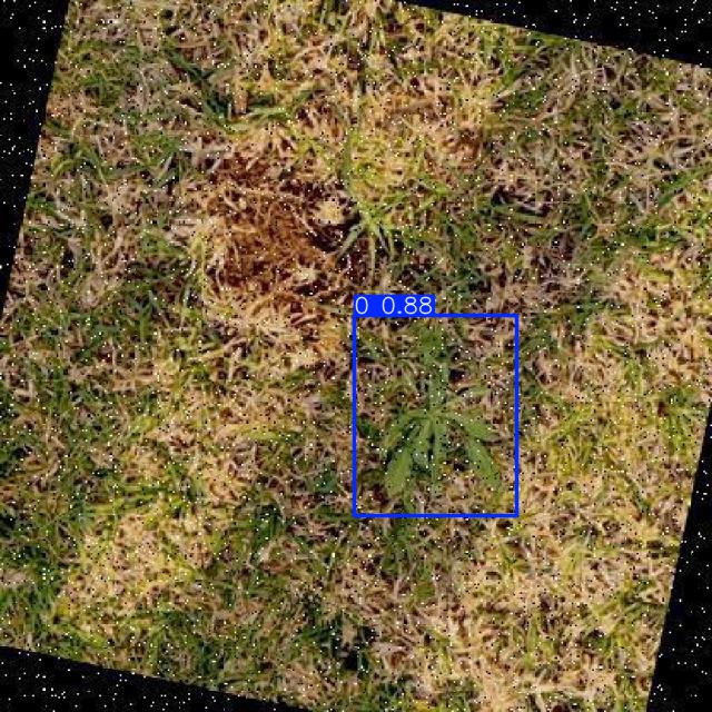 Annotated Image