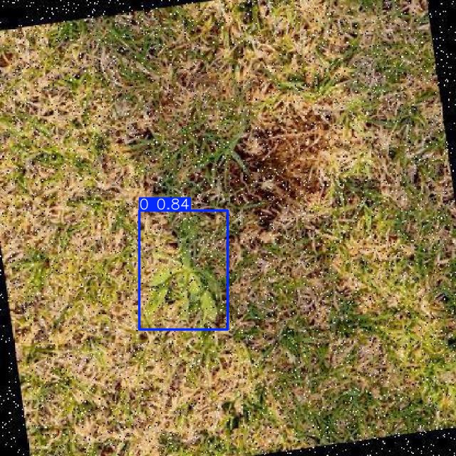 Annotated Image
