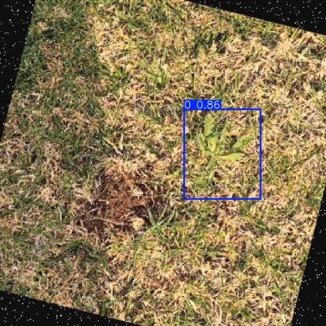 Annotated Image