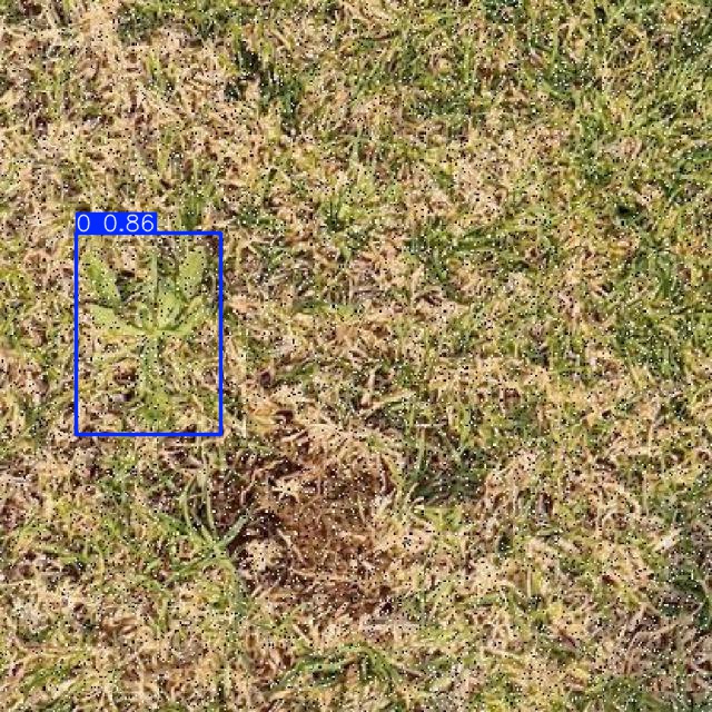 Annotated Image