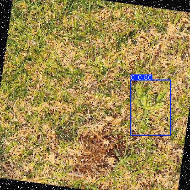 Annotated Image
