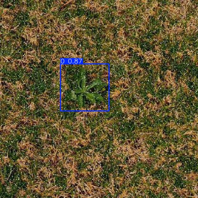 Annotated Image