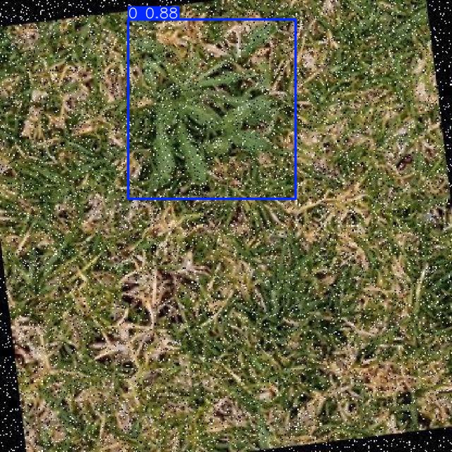 Annotated Image
