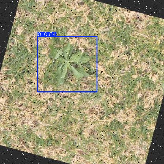 Annotated Image