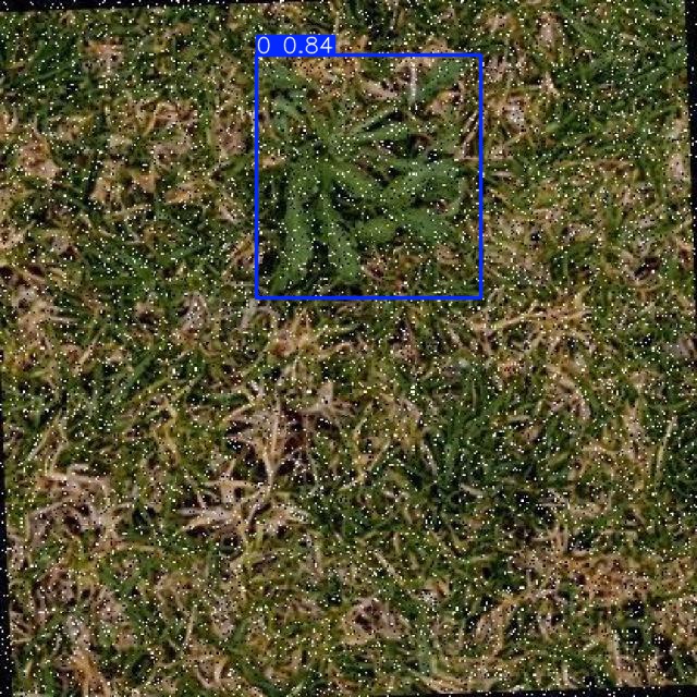 Annotated Image