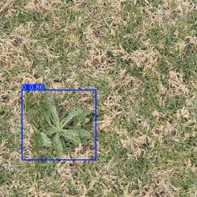 Annotated Image
