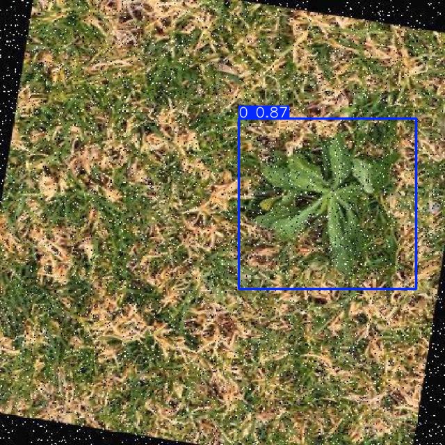 Annotated Image