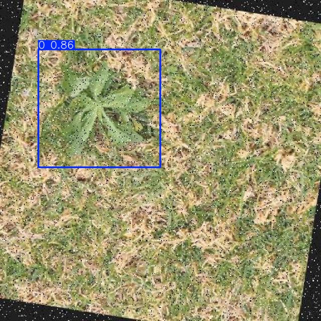 Annotated Image