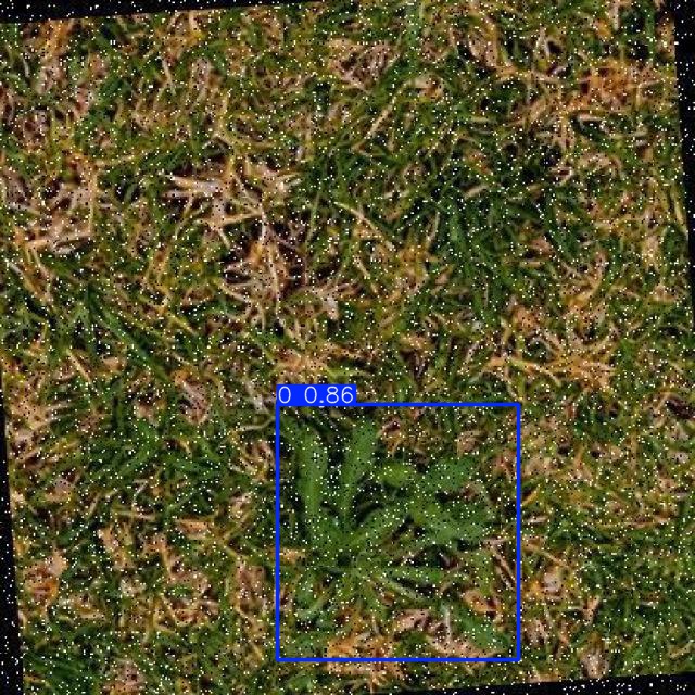 Annotated Image