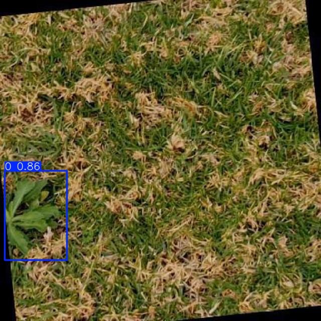 Annotated Image