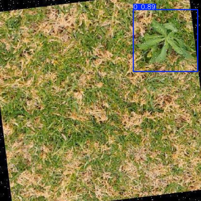 Annotated Image