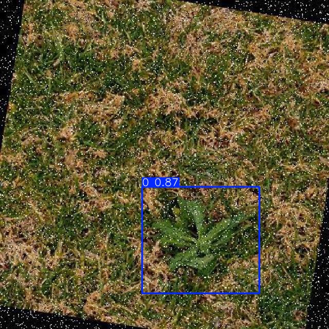 Annotated Image