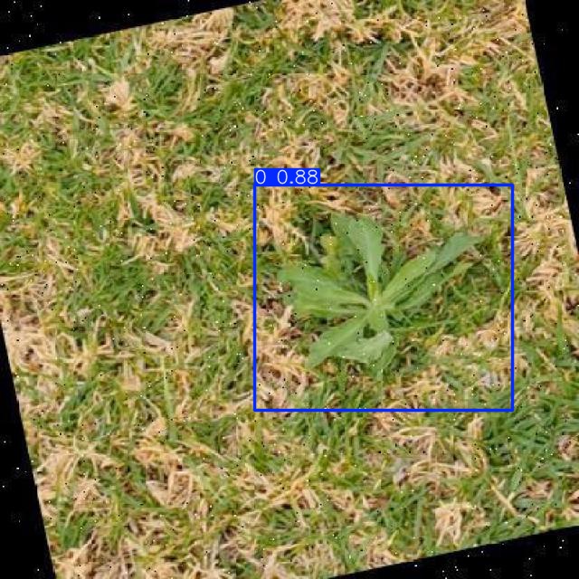 Annotated Image
