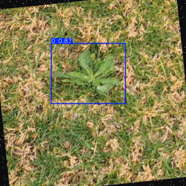 Annotated Image