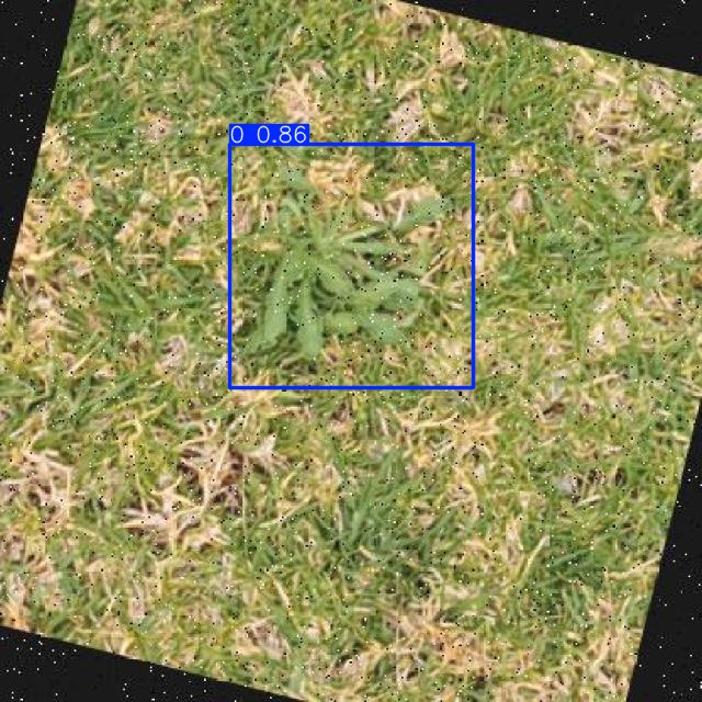 Annotated Image