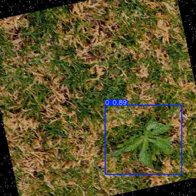 Annotated Image