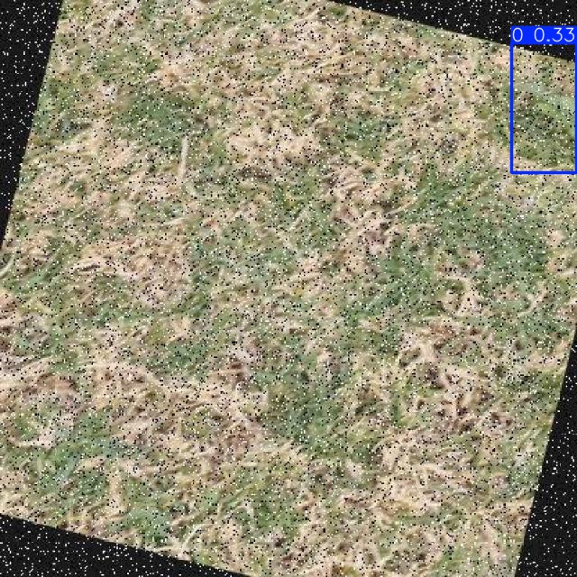 Annotated Image