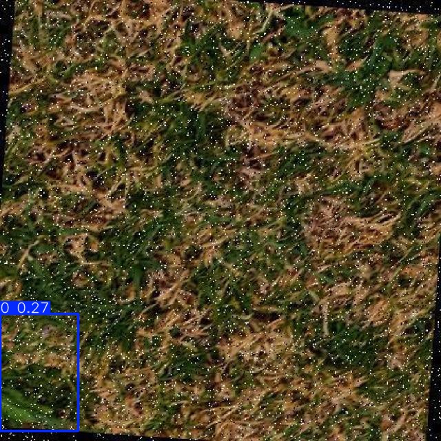 Annotated Image